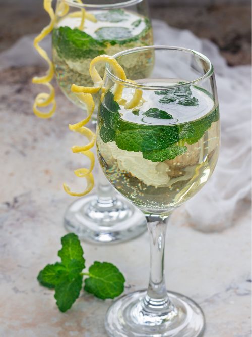 White Wine Spritzer Cocktail with mint, lemon and ice