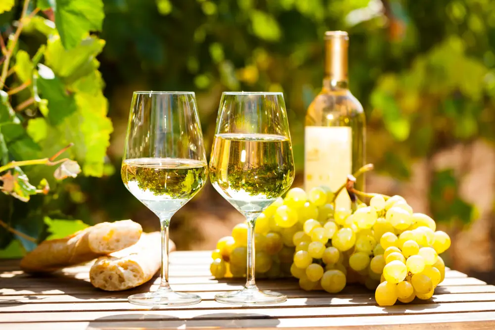 10 Popular White Wine Grape Varieties From All Over the World
