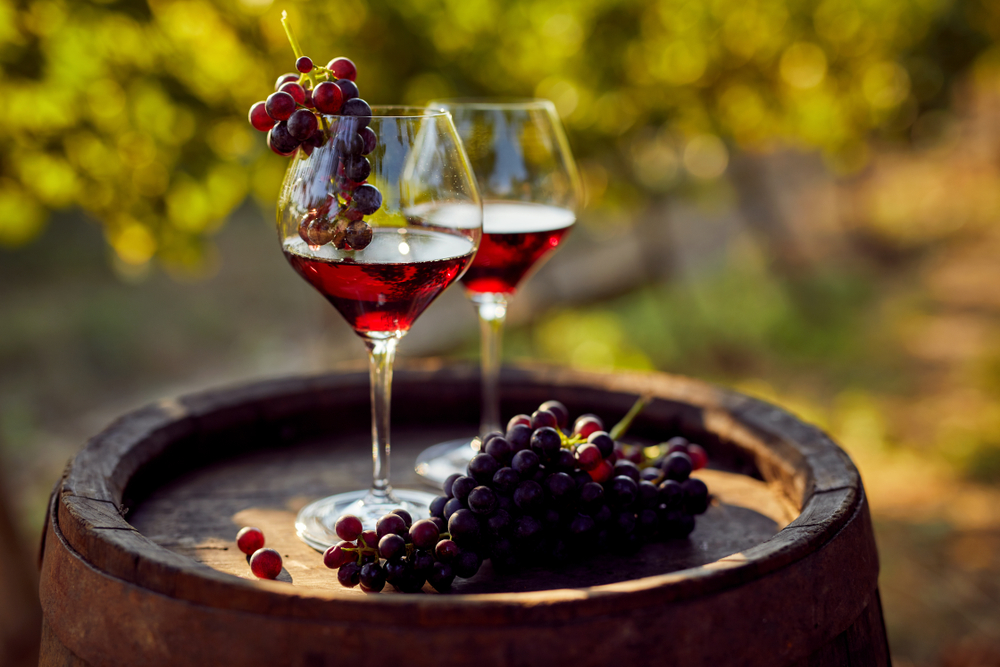 The Top 5 Red Wine Grapes In The World