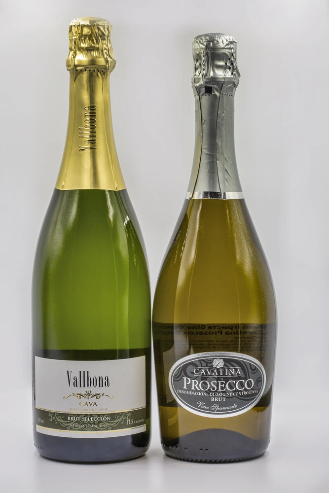 Spanish Vallbona Cava and Italian Cavatino Prosecco brut bottles closeup against white background.