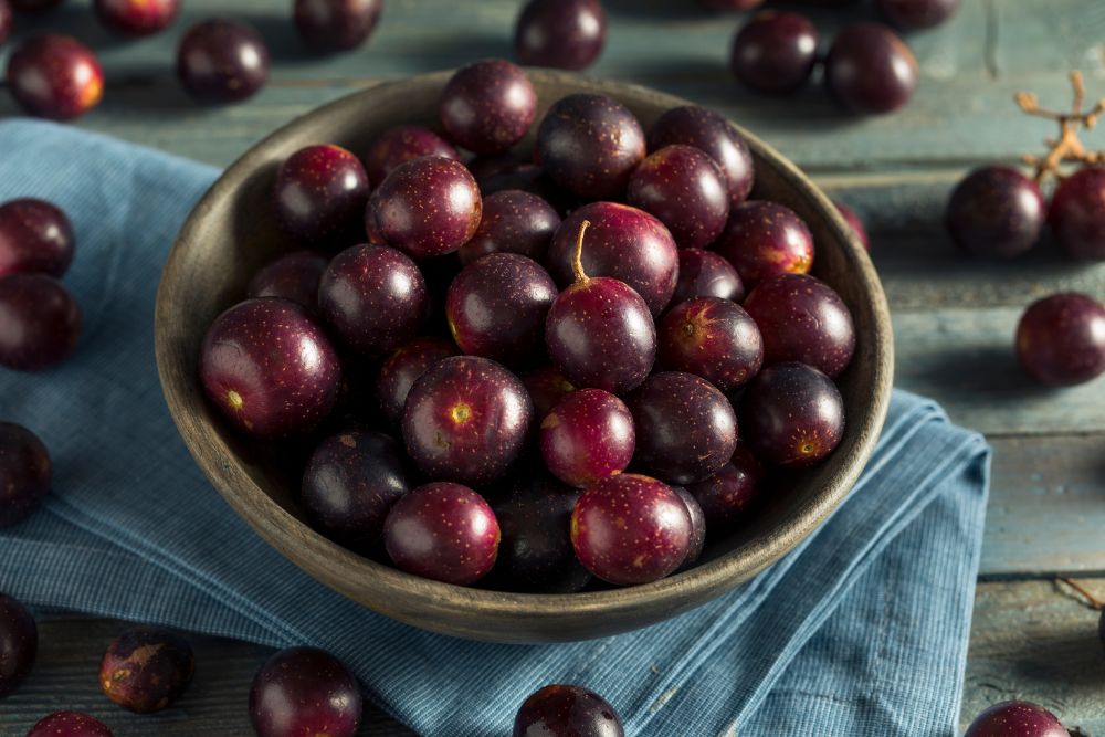 Muscadine Grapes in a bowl