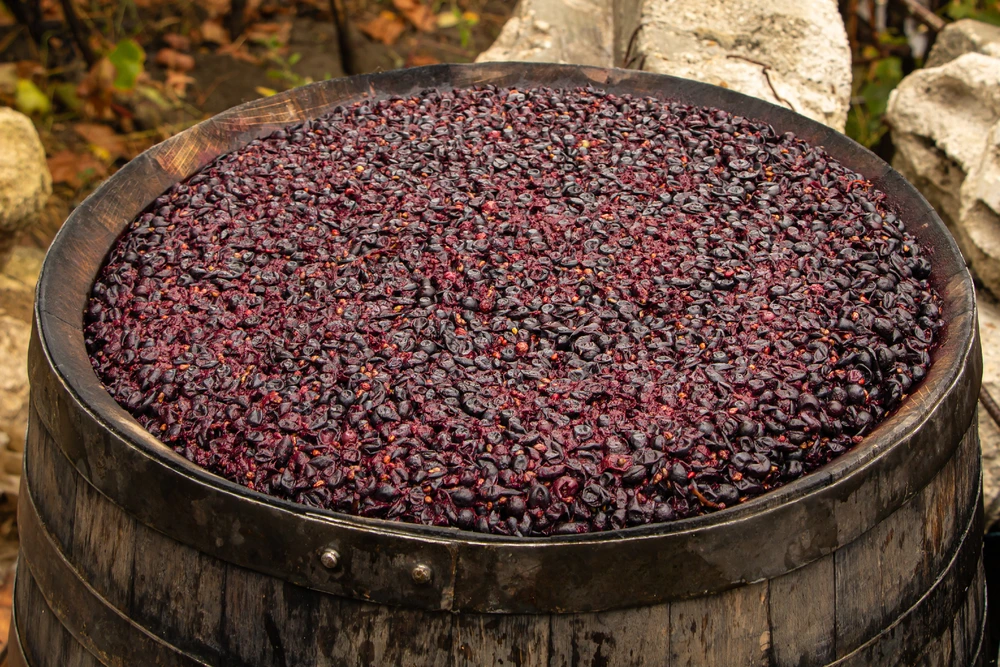 Red wine fermenting in a big oak barrel