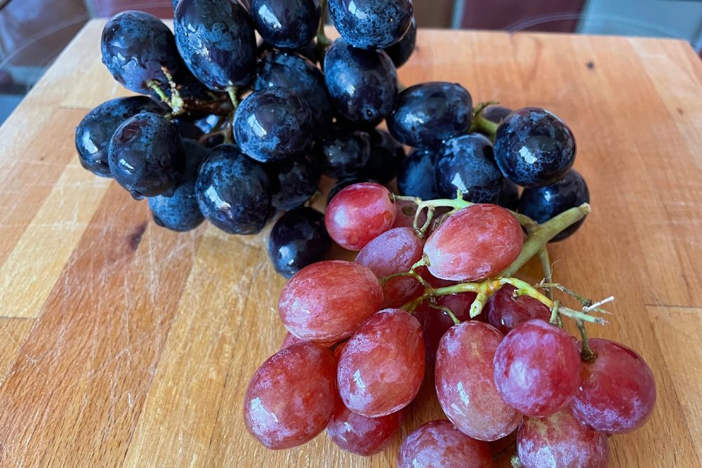 Red and Black Grapes