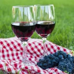 Two glasses of red wine with Pinot Noir grapes sitting on a picnic rug