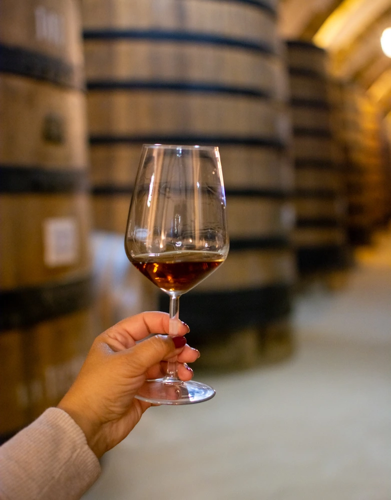 Dry or sweet marsala wine in vintage wine cellar with oak barrels in backgrund