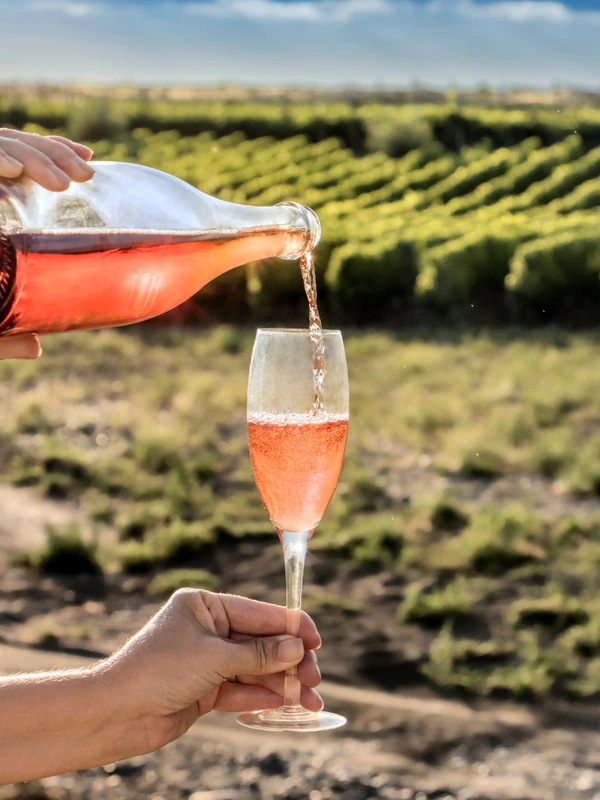 Rosé Champagne being poured into a glass on a vineyard