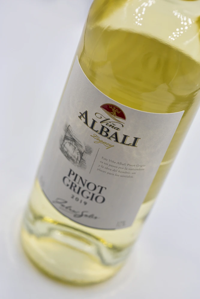Vina Albali Pinot Grigio Italian white wine bottle closeup against white background