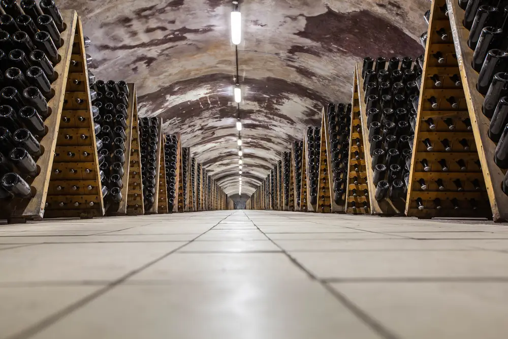 Champagne bottles stacked on racks during the riddling process