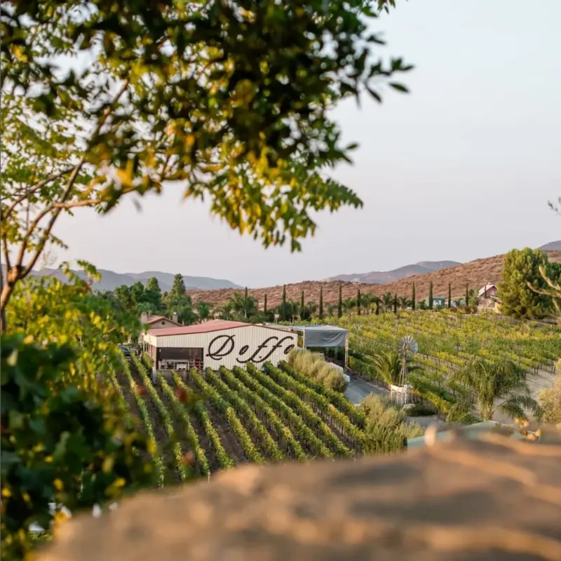 Doffo Winery Temecula California