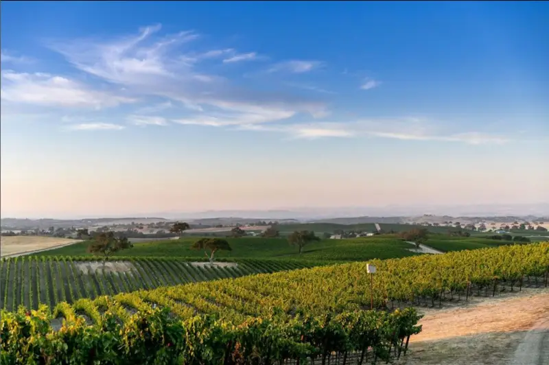 J.Lohr Vineyards & Wines Paso Robles California 2