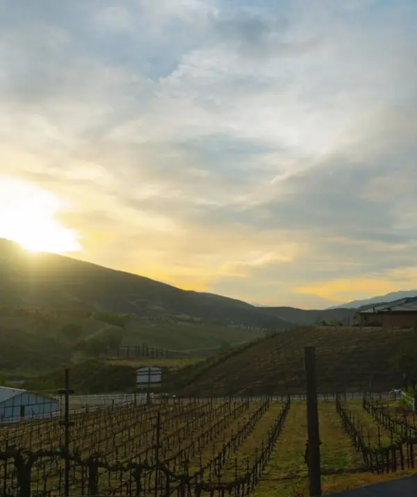 Oak Mountain Winery Temecula California 2