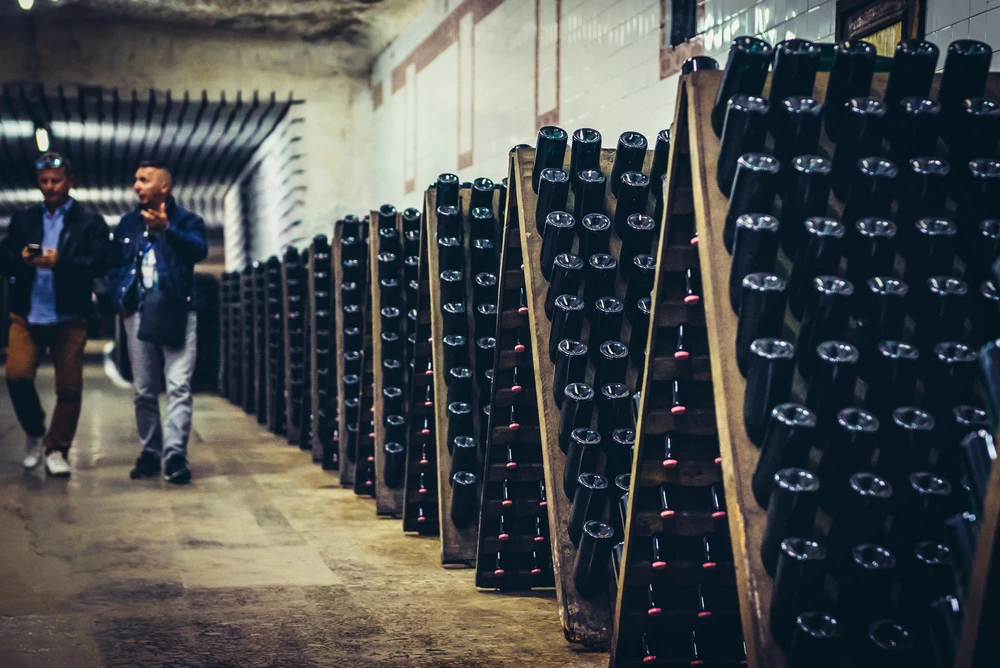 Sparkling wine bottles during riddling process in wine cellar secondary fermentation inside bottle