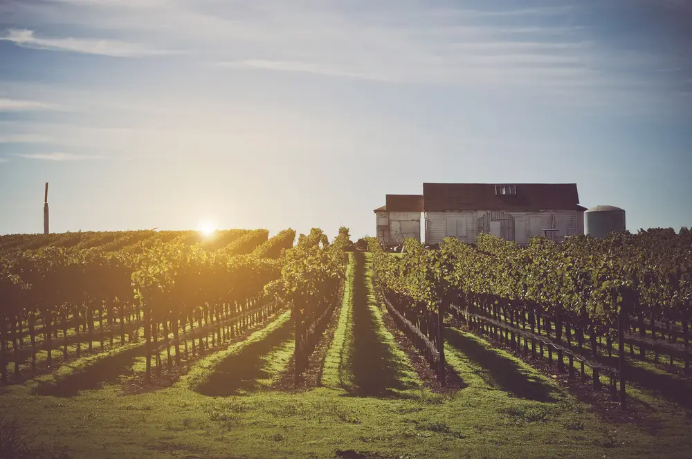 The 11 Best Wineries to Visit in Maryland