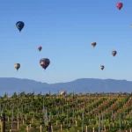 Hot air balloons over a vineyard at the Temecula Balloon and Wine Festiva