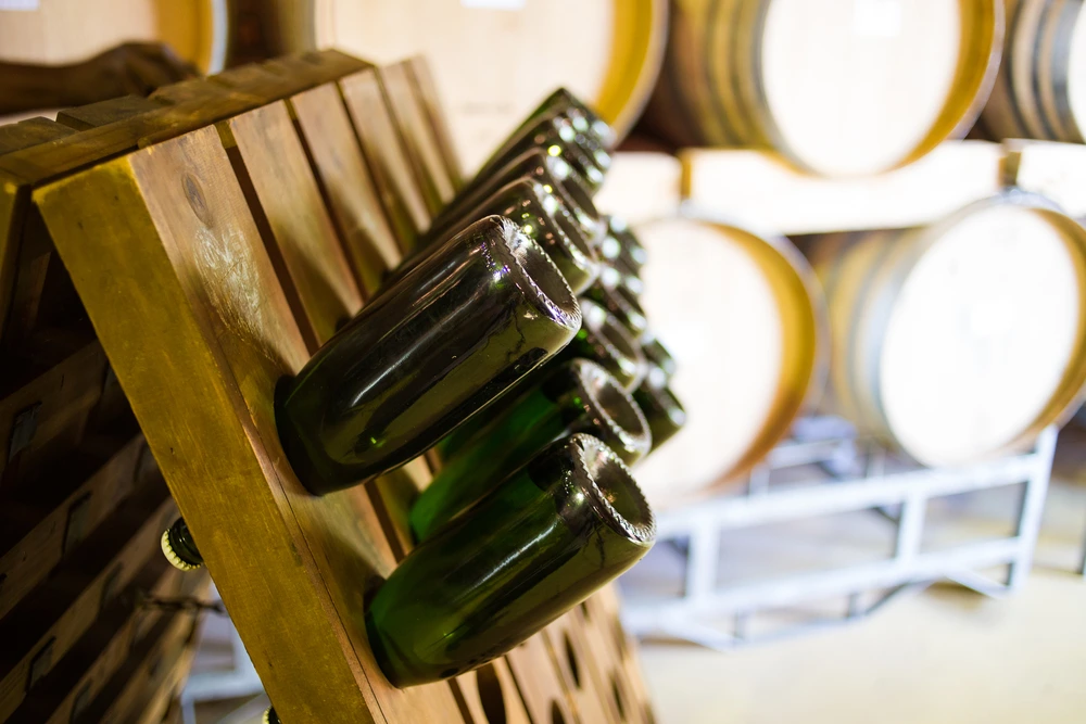 Sparkling wine bottles during riddling process secondary fermentation inside bottle