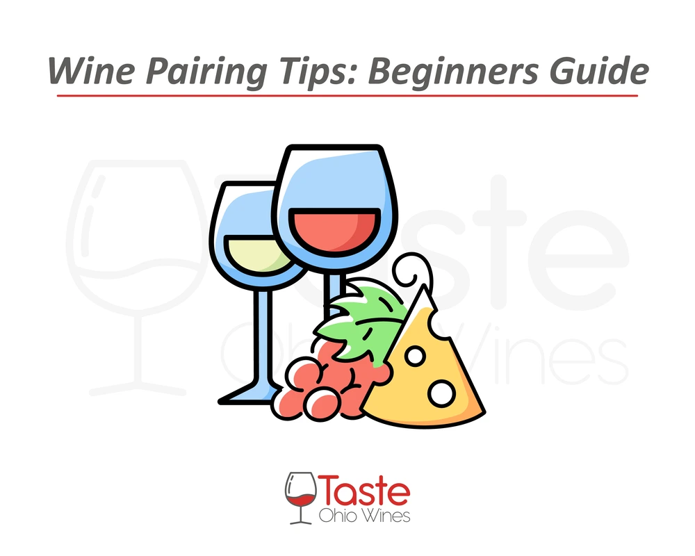 Wine Pairing Tips Beginners Guide featured Image
