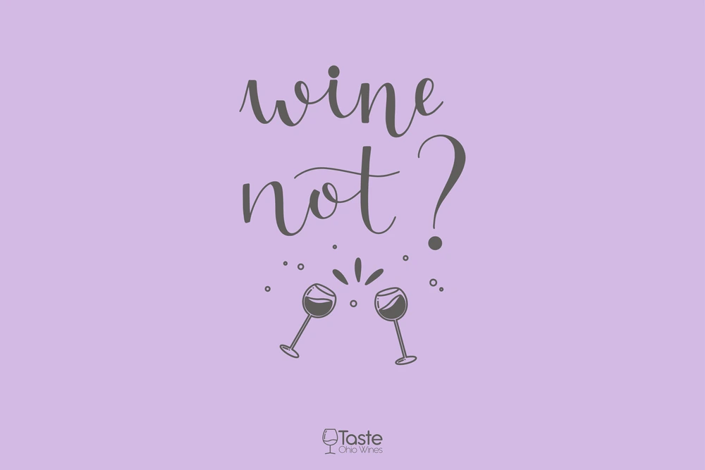 Wine not - Wine Quotes and Captions for Instagram