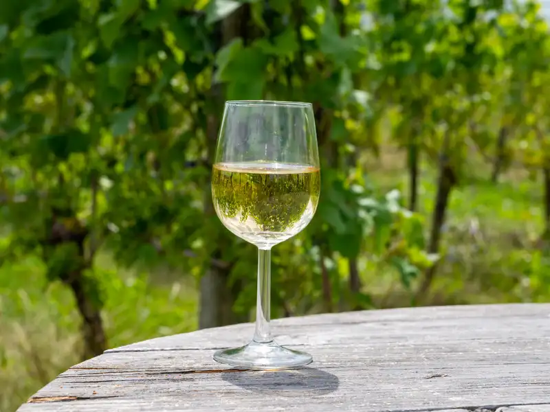 Dry white wine glass in a vineyard