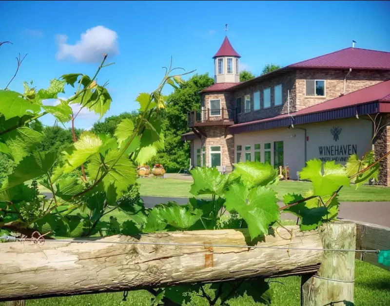 Winehaven Winery Vineyard 2