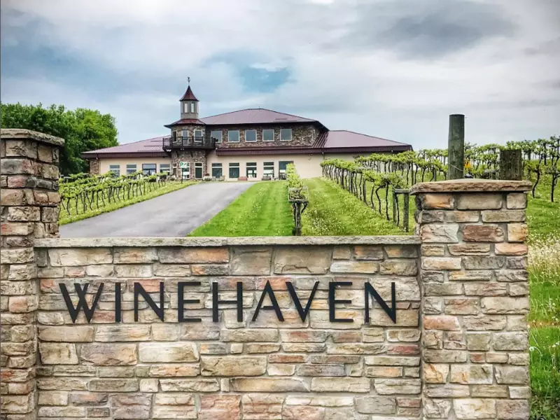 Winehaven Winery Vineyard
