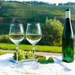Gewürztraminer vs Riesling: The Differences You Should Know