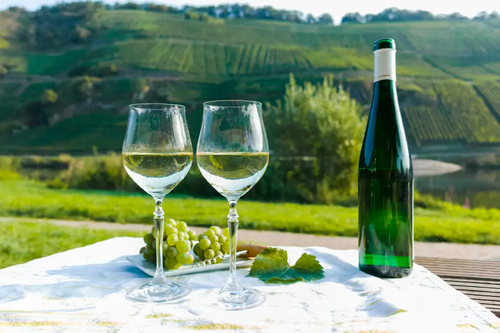 Gewürztraminer vs Riesling The Differences You Should Know