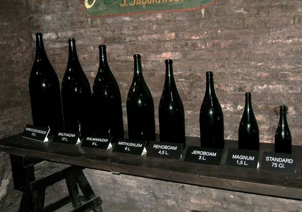 Different wine bottle sizes lined up on a table