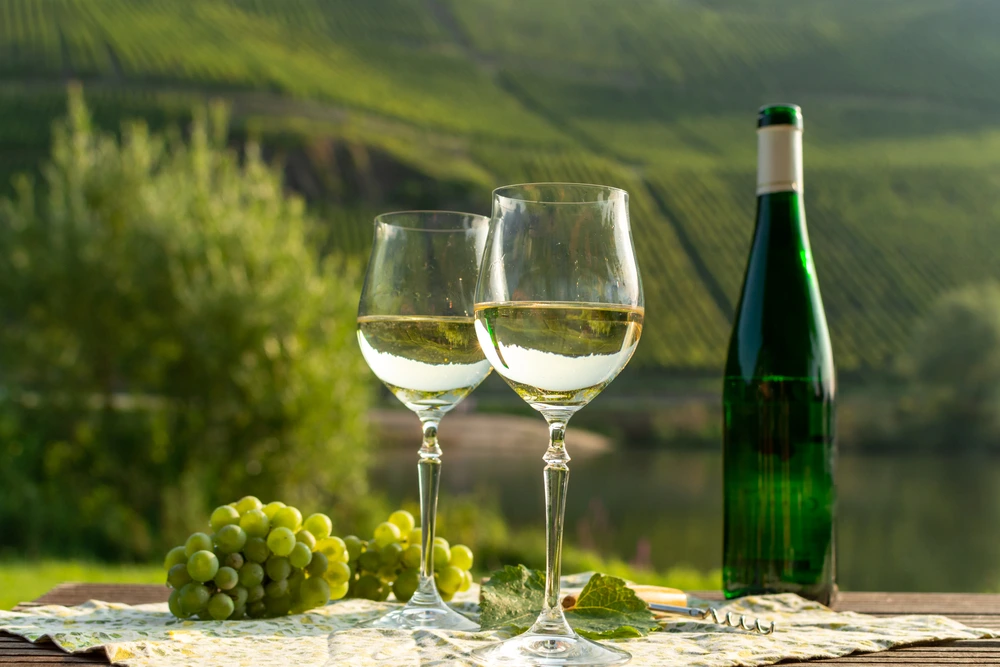 Riesling vs Chardonnay Comparing The Differences - Riesling Wine