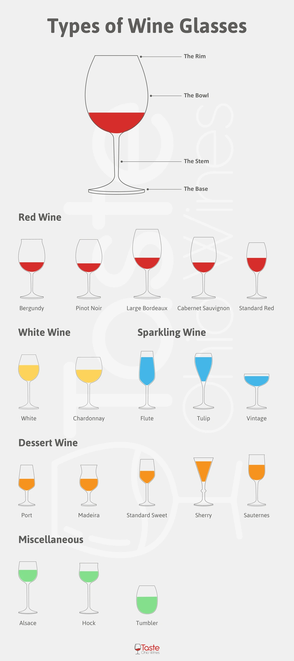 Types of Wine Glasses Chart Infographic